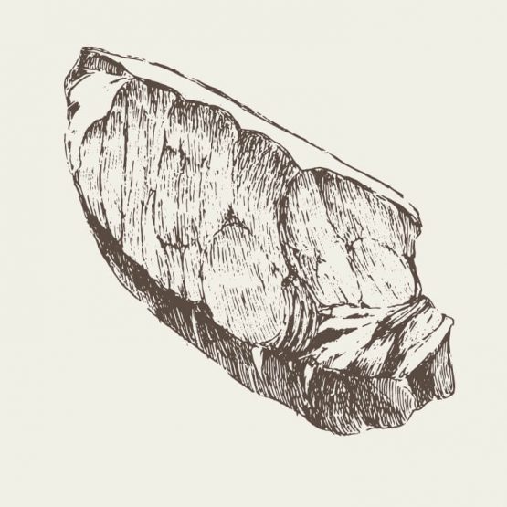 Pork Illustration